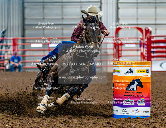 DogAndPony-Sunday-2026-JMrazPhotography-2246
