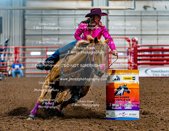 DogAndPony-Sunday-2026-JMrazPhotography-2270