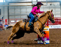 DogAndPony-Sunday-2026-JMrazPhotography-2273