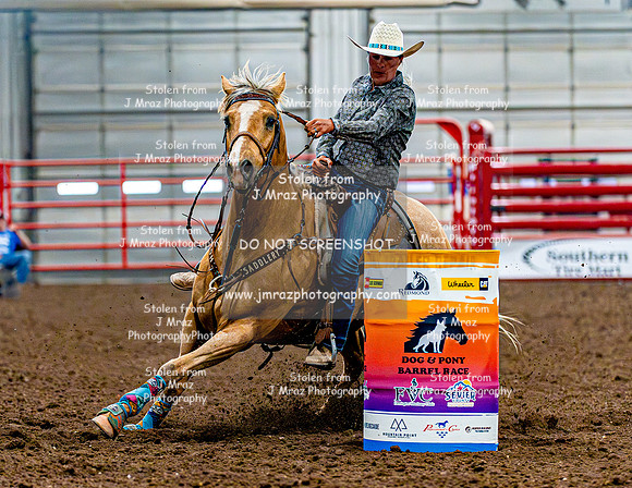 DogAndPony-Sunday-2026-JMrazPhotography-2310