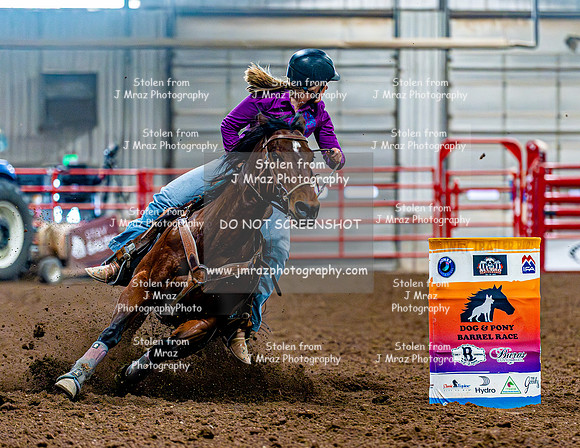 DogAndPony-Sunday-2026-JMrazPhotography-2326