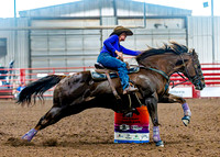 DogAndPony-Sunday-2026-JMrazPhotography-2353