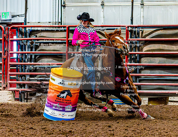 DogAndPony-Sunday-2026-JMrazPhotography-2384