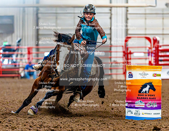 DogAndPony-Sunday-2026-JMrazPhotography-2380