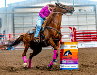 DogAndPony-Sunday-2026-JMrazPhotography-2402