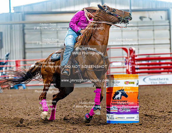 DogAndPony-Sunday-2026-JMrazPhotography-2402