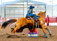 DogAndPony-Sunday-2026-JMrazPhotography-2423