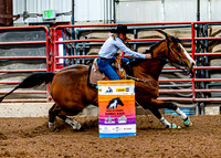 DogAndPony-Sunday-2026-JMrazPhotography-2463
