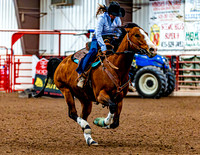 DogAndPony-Sunday-2026-JMrazPhotography-2478
