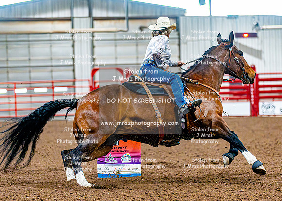 DogAndPony-Sunday-2026-JMrazPhotography-2506
