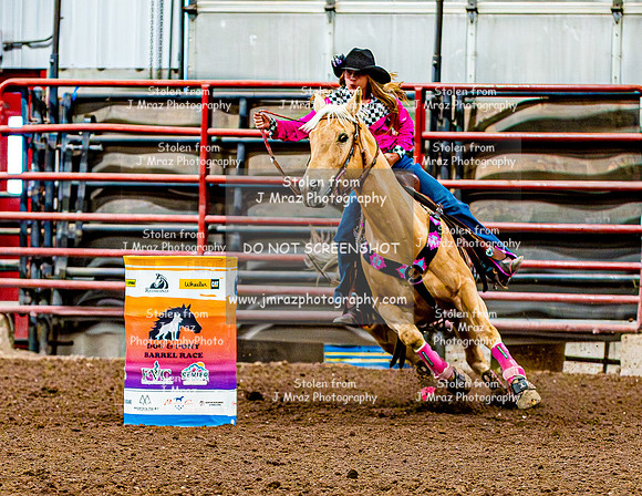 DogAndPony-Sunday-2026-JMrazPhotography-2569