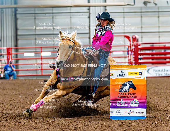 DogAndPony-Sunday-2026-JMrazPhotography-2570