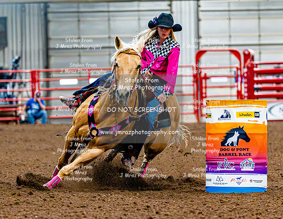 DogAndPony-Sunday-2026-JMrazPhotography-2571