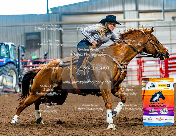 DogAndPony-Sunday-2026-JMrazPhotography-2582
