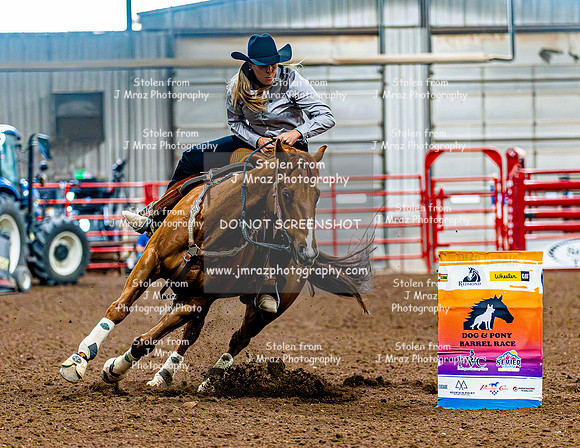 DogAndPony-Sunday-2026-JMrazPhotography-2580