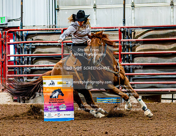 DogAndPony-Sunday-2026-JMrazPhotography-2588