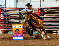 DogAndPony-Sunday-2026-JMrazPhotography-2589