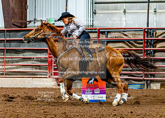 DogAndPony-Sunday-2026-JMrazPhotography-2591