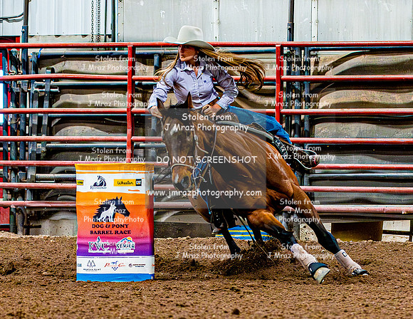DogAndPony-Sunday-2026-JMrazPhotography-2612