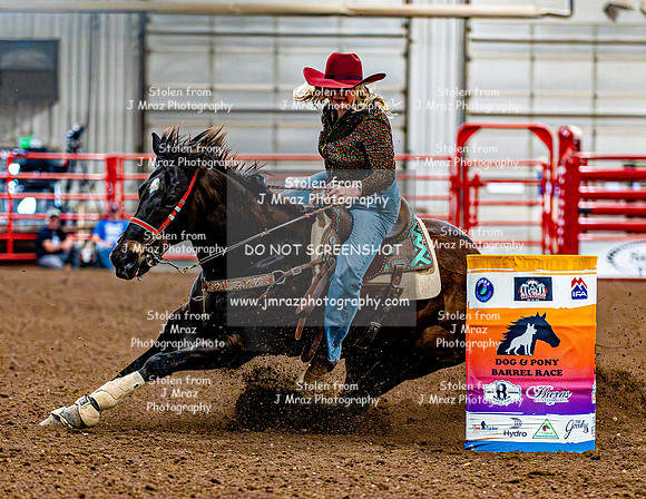 DogAndPony-Sunday-2026-JMrazPhotography-2634