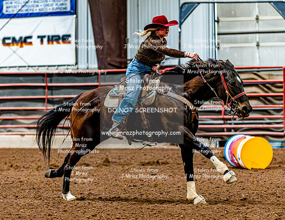 DogAndPony-Sunday-2026-JMrazPhotography-2641