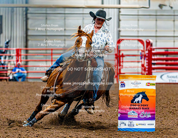 DogAndPony-Sunday-2026-JMrazPhotography-2673