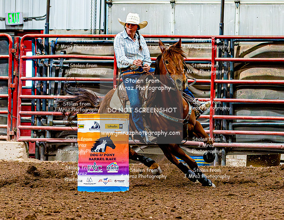 DogAndPony-Sunday-2026-JMrazPhotography-2693