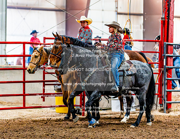 DogAndPony-2026-JMrazPhotography-0005