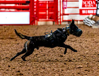 DogAndPony-2026-JMrazPhotography-2024