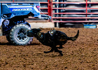 DogAndPony-2026-JMrazPhotography-2019