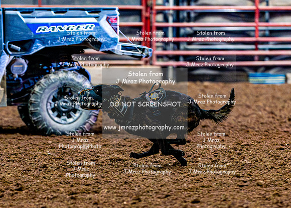 DogAndPony-2026-JMrazPhotography-2019