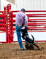 DogAndPony-2026-JMrazPhotography-2022