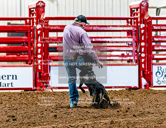 DogAndPony-2026-JMrazPhotography-2021