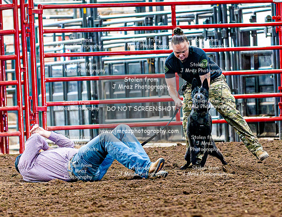 DogAndPony-2026-JMrazPhotography-2048
