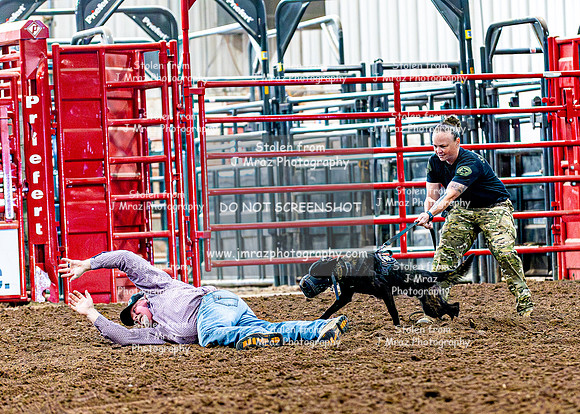 DogAndPony-2026-JMrazPhotography-2051