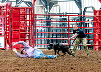 DogAndPony-2026-JMrazPhotography-2052