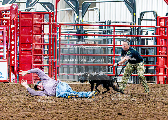 DogAndPony-2026-JMrazPhotography-2052