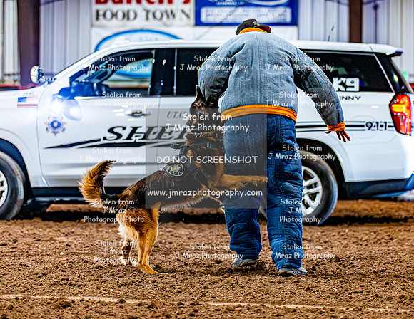 DogAndPony-2026-JMrazPhotography-2069