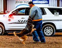 DogAndPony-2026-JMrazPhotography-2072