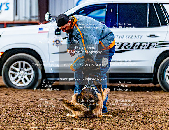 DogAndPony-2026-JMrazPhotography-2074