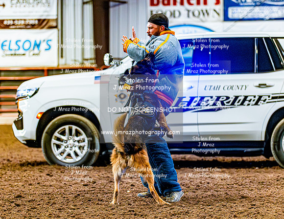 DogAndPony-2026-JMrazPhotography-2078