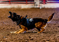 DogAndPony-2026-JMrazPhotography-2103