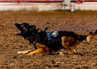 Police Demo