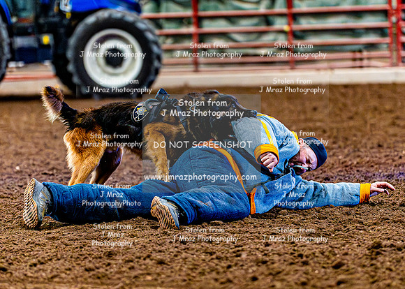 DogAndPony-2026-JMrazPhotography-2108