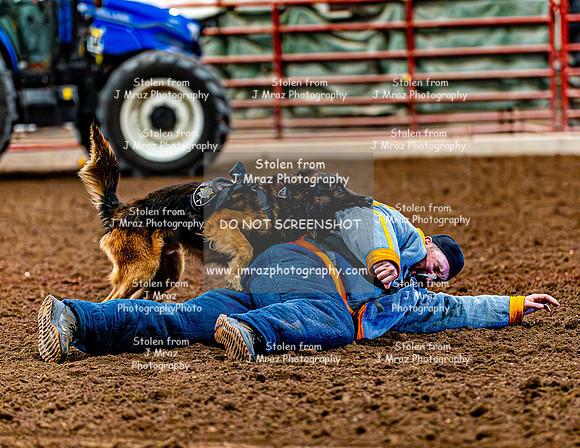 DogAndPony-2026-JMrazPhotography-2109