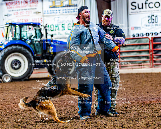 DogAndPony-2026-JMrazPhotography-2111