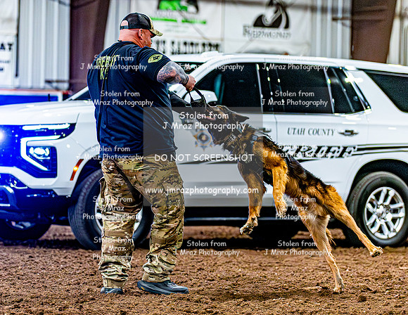 DogAndPony-2026-JMrazPhotography-2135