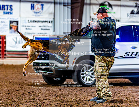 DogAndPony-2026-JMrazPhotography-2131