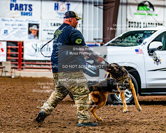 DogAndPony-2026-JMrazPhotography-2126