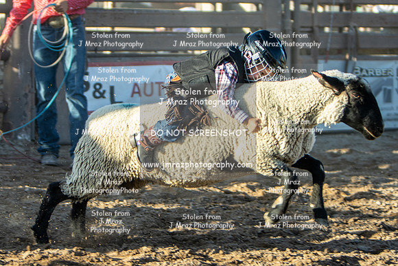 RMPRA-Genola-2024-JMrazPhotography-MuttonBusting-19